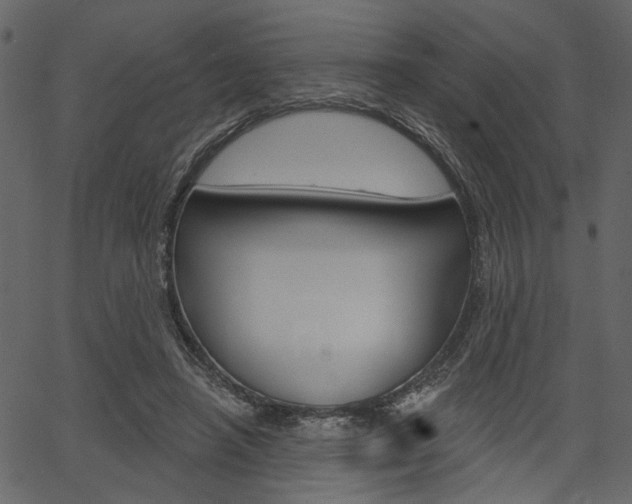 X0000067390450200603310959