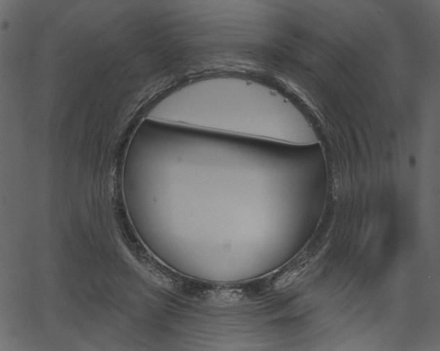 X0000067390451200603310959