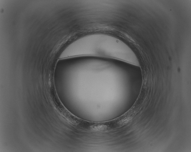 X0000067390452200603310959