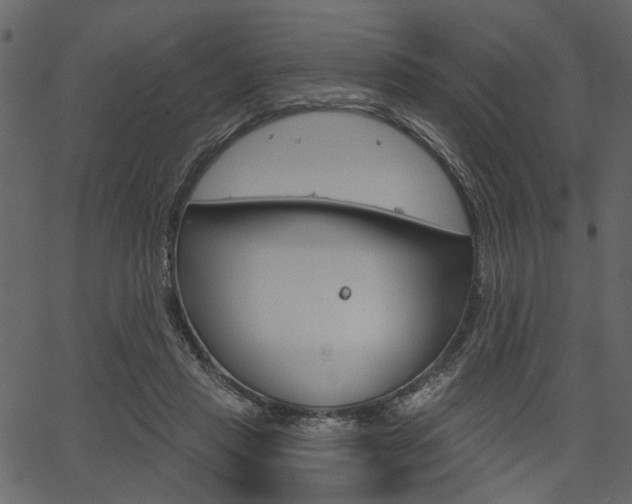 X0000067390453200603310959