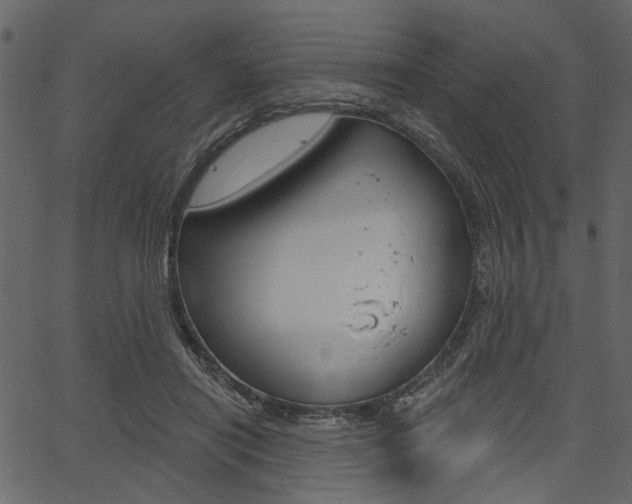 X0000067390454200603310959