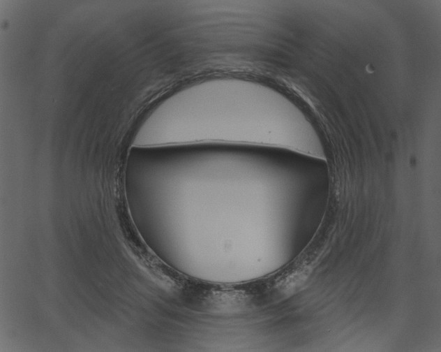 X0000067390455200603311000