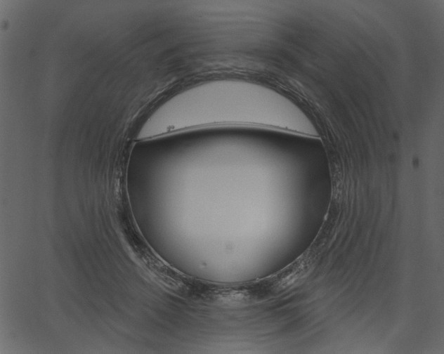 X0000067390456200603311000