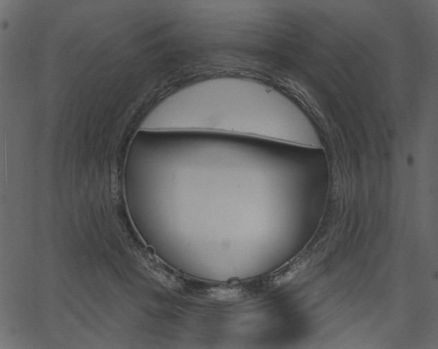 X0000067390457200603311000