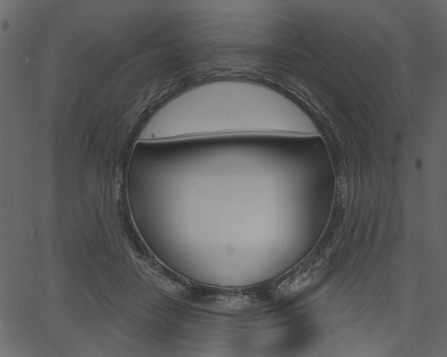 X0000067390458200603311000