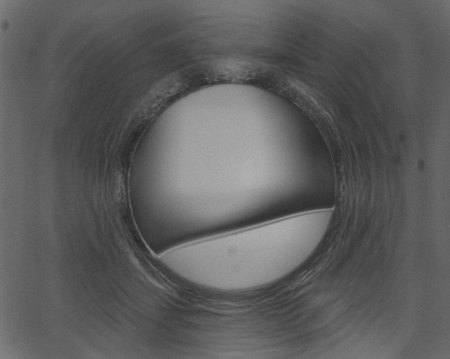 X0000067390459200603311000