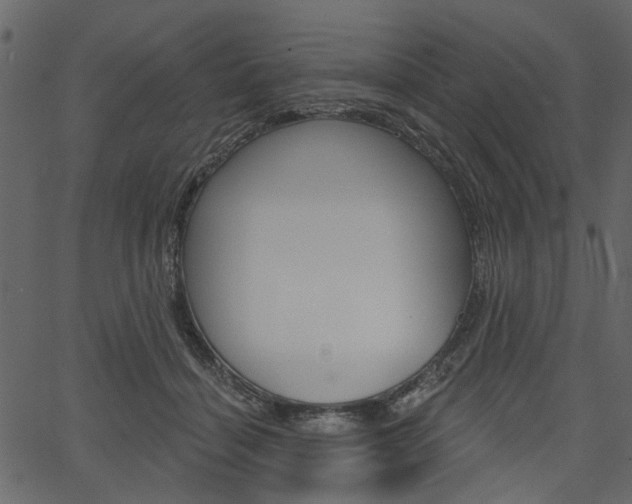 X0000067390460200603311000