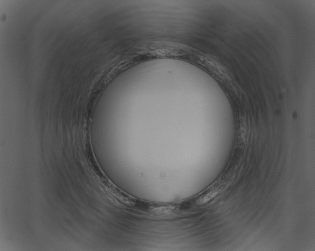 X0000067390461200603311000