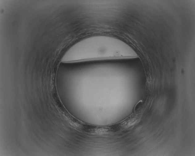 X0000067390462200603311000