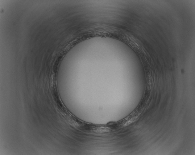 X0000067390463200603311000