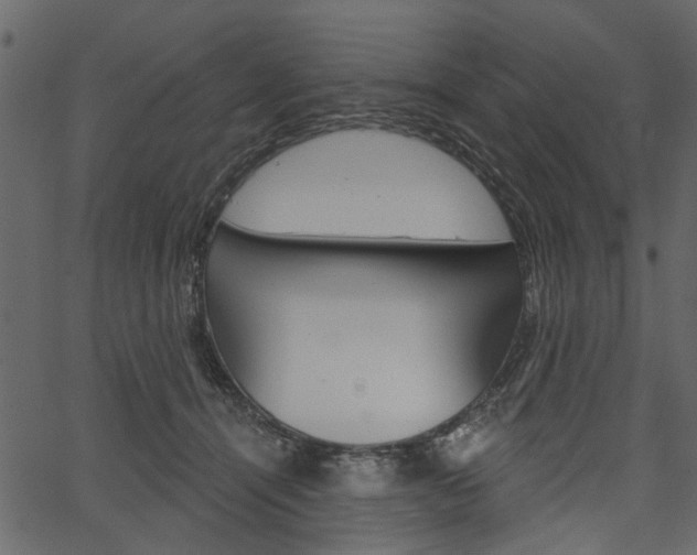 X0000067390464200603311000