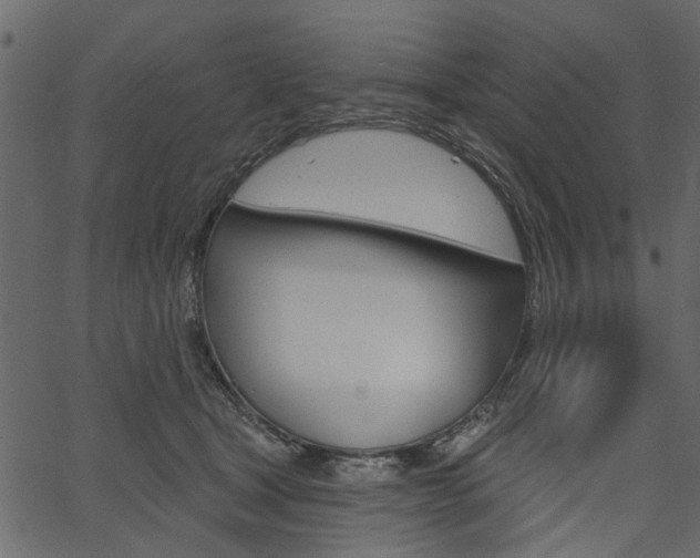 X0000067390465200603311000