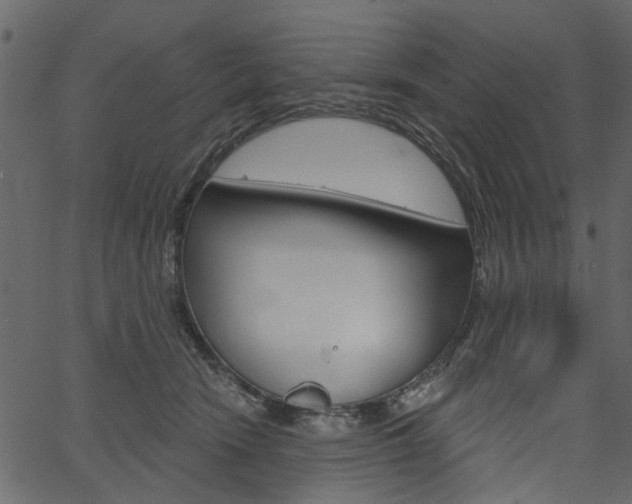 X0000067390466200603311000