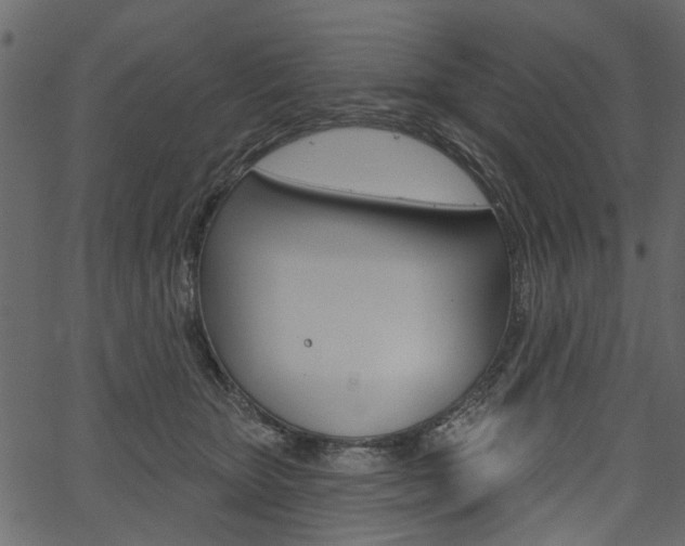 X0000067390467200603311000