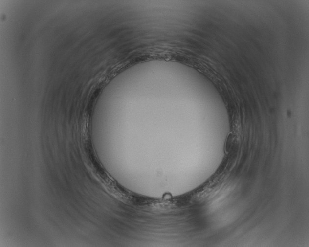 X0000067390468200603311000