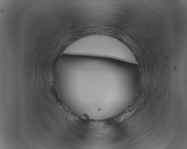 X0000067390469200603311000