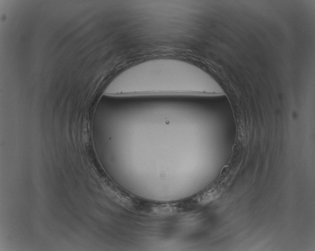 X0000067390470200603311000