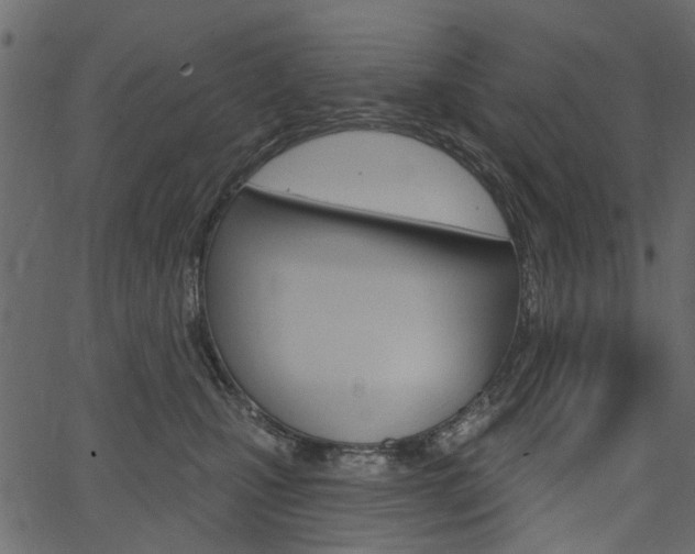 X0000067390471200603311000