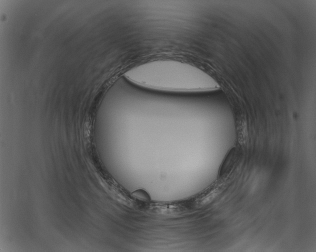 X0000067390472200603311000