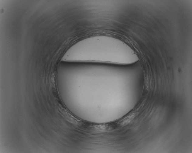 X0000067390473200603311000