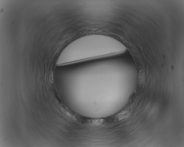 X0000067390474200603311000