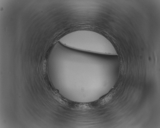 X0000067390475200603311000