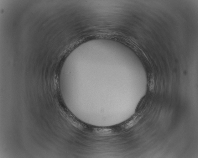 X0000067390476200603311000