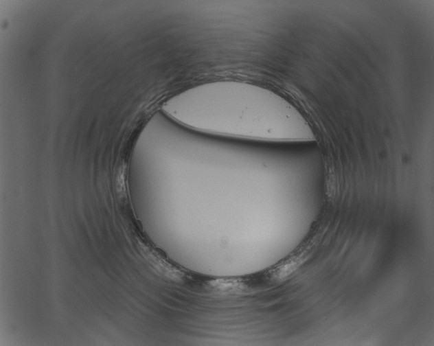 X0000067390477200603311000