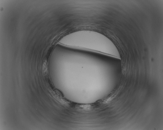 X0000067390478200603311000