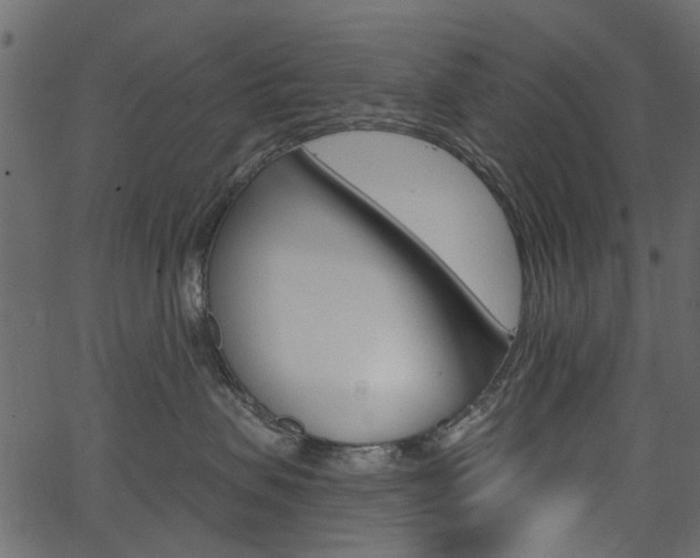 X0000067390479200603311000