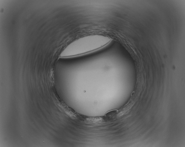 X0000067390480200603311000