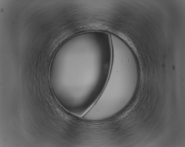 X0000067390481200603310959