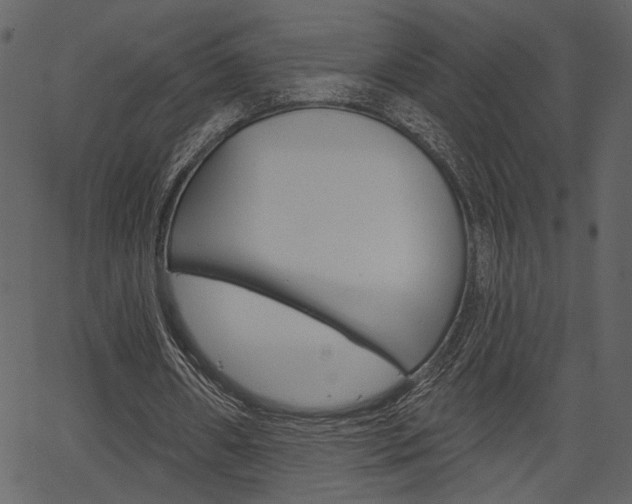 X0000067390482200603310959