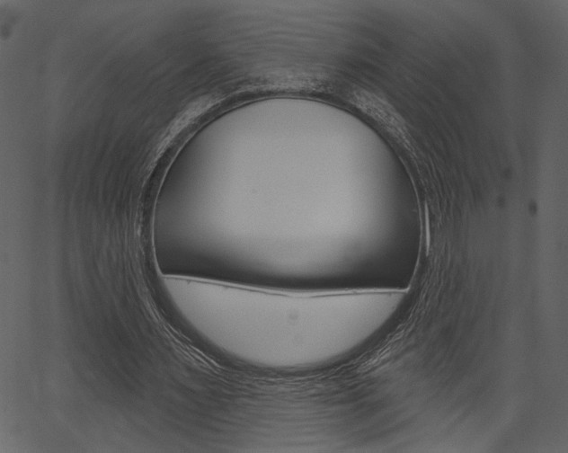 X0000067390483200603310959