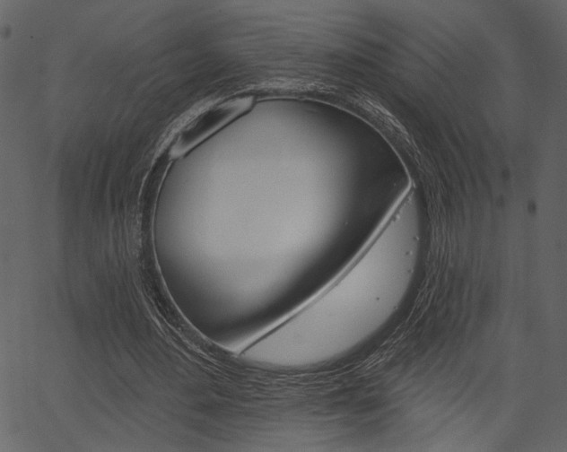 X0000067390484200603310959