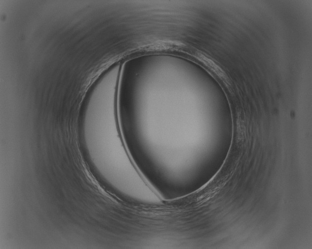 X0000067390485200603310959