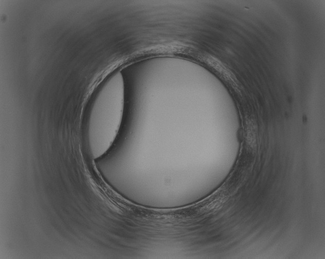 X0000067390486200603310959