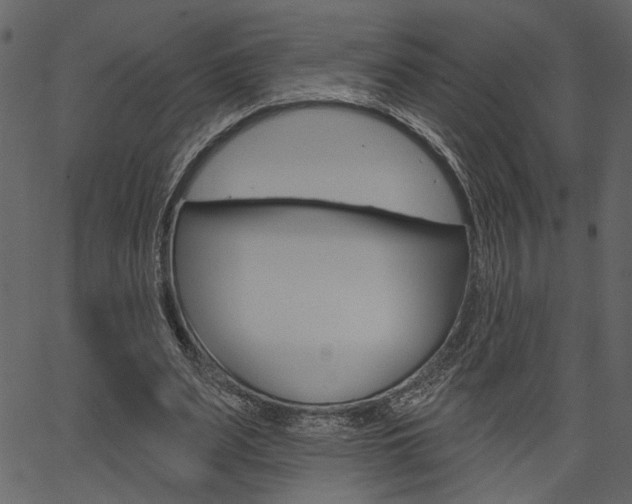 X0000067390487200603310959