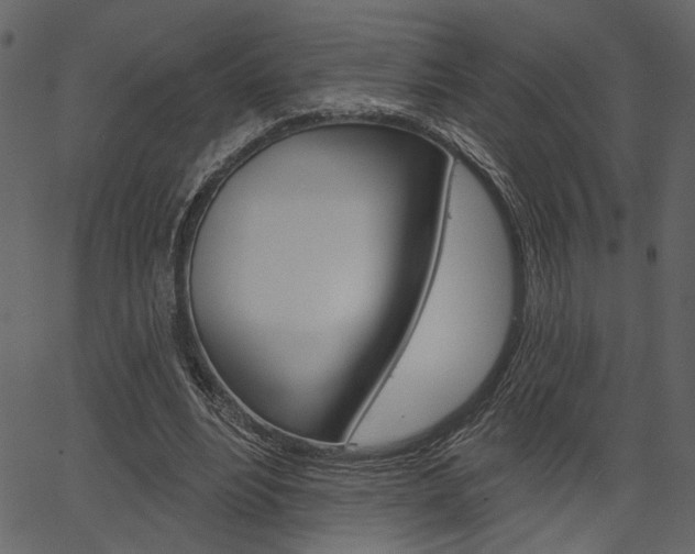 X0000067390488200603310959