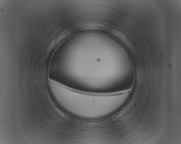 X0000067390489200603310959