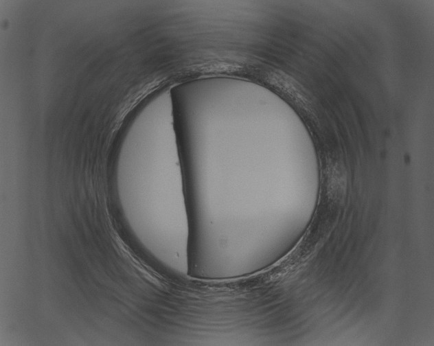 X0000067390490200603310959