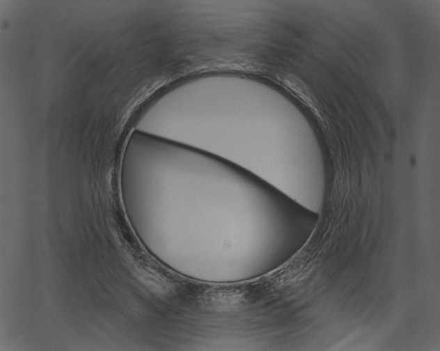 X0000067390491200603310959