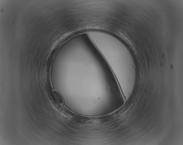 X0000067390492200603310959