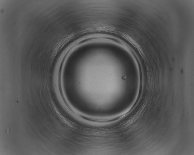 X0000067390493200603310959