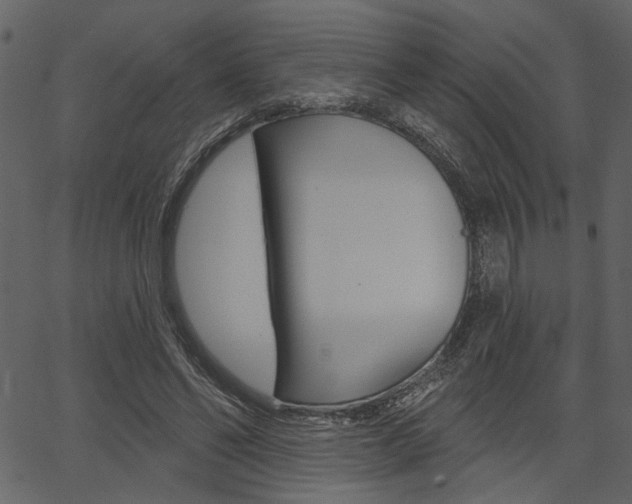 X0000067390494200603310959