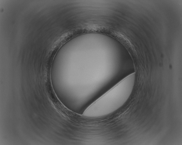 X0000067390496200603310959