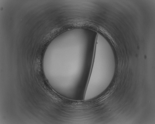 X0000067390497200603310959