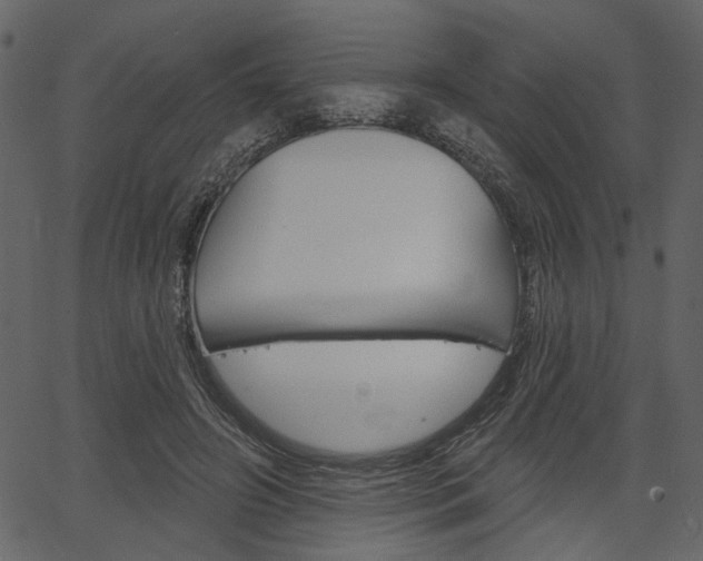 X0000067390498200603310959