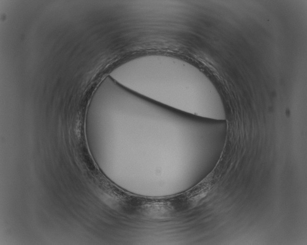 X0000067390499200603310959