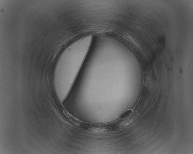 X0000067390500200603310959